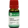 Acidum sulfuricum Arcana LM 6 Dilution, 10 ml