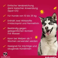 Advantix Spot-on Hund 10 - 25 kg Lösung, 4 St