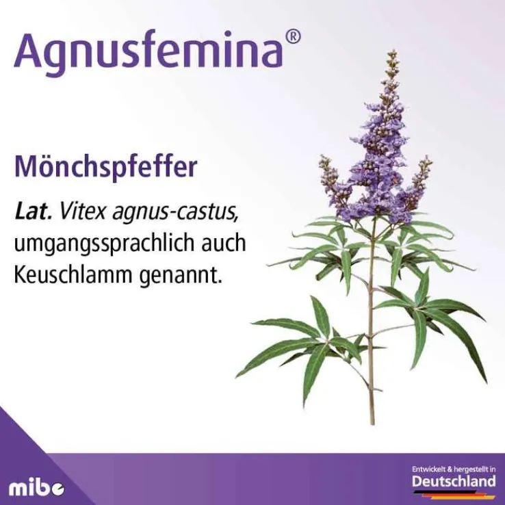 Agnusfemina 4 mg Filmtabletten , 100 St