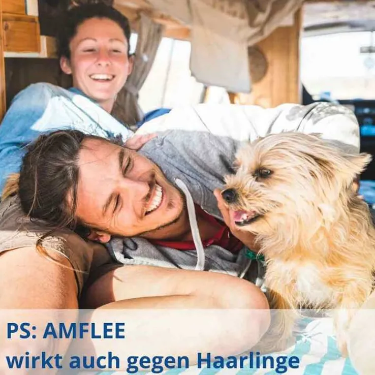 Amflee 268 mg Spot-On für große Hunde, 3 St