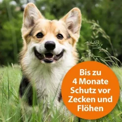 Ardap Zecken-/Flohschutzhalsband große Hunde über 25 kg, 1 St