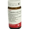 Arnica E Planta tota D 2 Globuli, 20 g