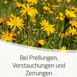 Arnika-Salbe 30% zur Behandlung stumpfer Verletzungen, 70 g