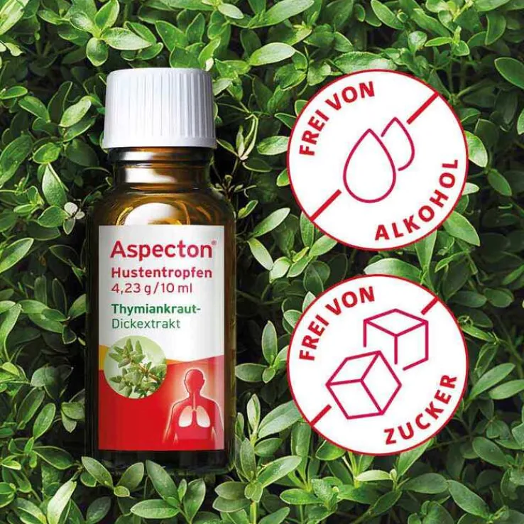 Aspecton® Hustentropfen, 30 ml