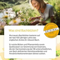 Bachblüten Murnauer Original Tropfen ohne Alkohol, 20 ml