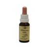 Bachblüten Murnauer Tropfen Heather, 20 ml