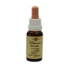 Bachblüten Murnauer Tropfen Rock Water, 20 ml