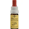 Bachblüten Murnauer Tropfen Star of Bethlehem, 20 ml