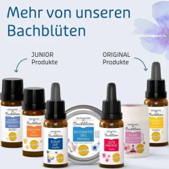 Bachblüten Murnauers Tropfen Schlaf Gut, 20 ml