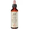 Bachblüten Nr. 6 Cherry Plum Tropfen, 20 ml