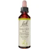 Bachblüten Nr. 7 Chestnut Bud Tropfen, 20 ml