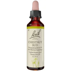 Bachblüten Nr. 7 Chestnut Bud Tropfen, 20 ml