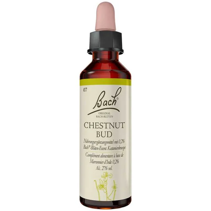 Bachblüten Nr. 7 Chestnut Bud Tropfen, 20 ml