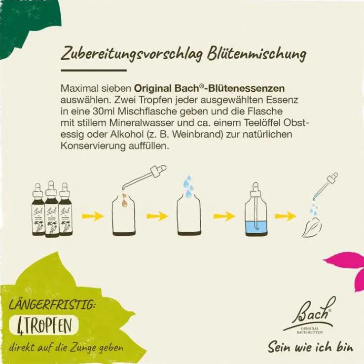 Bachblüten Nr. 7 Chestnut Bud Tropfen, 20 ml