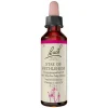 Bachblüten Nr. 29 Star of Bethlehem Tropfen, 20 ml