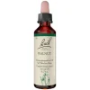 Bachblüten Nr. 33 Walnut Tropfen, 20 ml