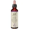 Bachblüten Nr. 34 Water Violet Tropfen, 20 ml