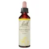 Bachblüten Original 17 Hornbeam Tropfen, 10 ml