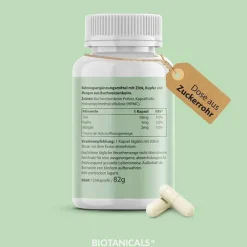 Biotanicals Zink Kapseln, 120 St