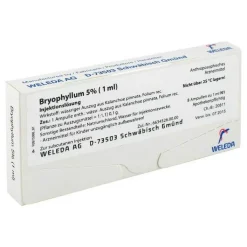 Bryophyllum 5% 1 ml Injektionslösung, 8X1 ml