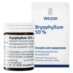 Bryophyllum 50% Pulver zum Einnehmen, 50 g