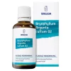 Bryophyllum Argento Cultum D3, 50 ml