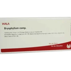 Bryophyllum comp. Ampullen, 10X1 ml