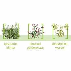 Canephron N Dragees, 120 St