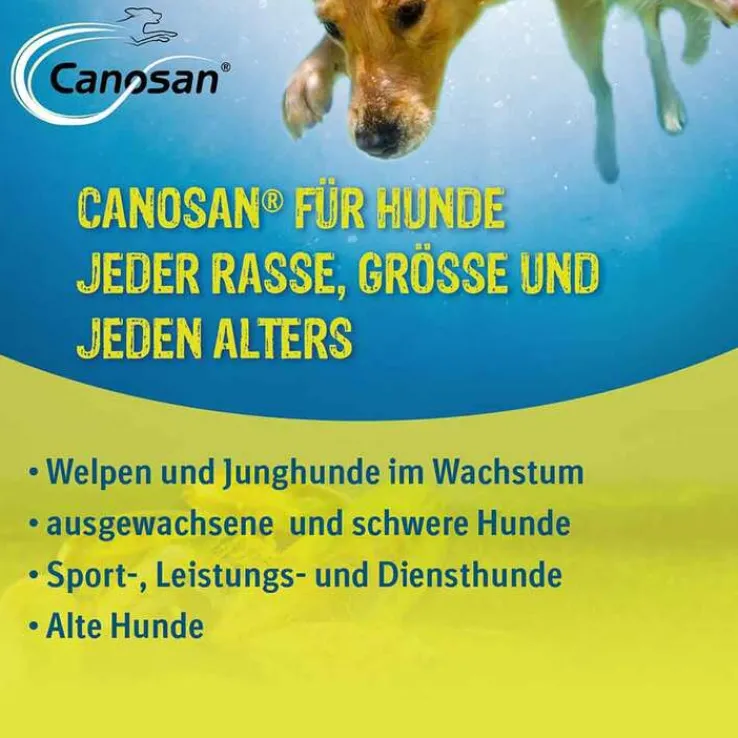 Canosan Konzentrat, 1300 g