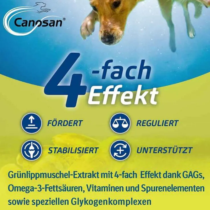 Canosan Konzentrat, 1300 g