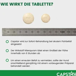 CAPSTAR™ 57 mg Tabletten für große Hunde, 6 St