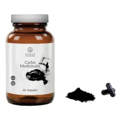 Carbo Medicinalis Kapseln Shanab, 60 St