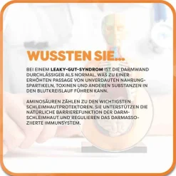 Casa Sana Maxiamin Kapseln, 80 St