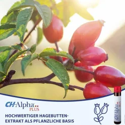 CH Alpha Plus Trinkampullen, 30 St