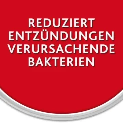 Chlorhexamed FORTE alkoholfrei 0,2 % Mundspülung, antibakteriell, 300 ml