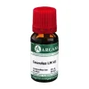 Cocculus Arcana LM 6 Dilution, 10 ml