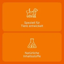 Coenzyme compositum® ad us. vet. Ampullen (2,2 ml), 10 St