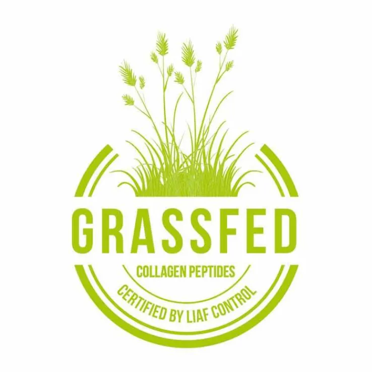 Collagen Pure Beauty 10 g Kollagen hochdosiert Gold-Edition, 7X25 ml