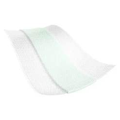 Cosmos Aloe Vera Pflaster 6 cmx0,5 m, 1 St