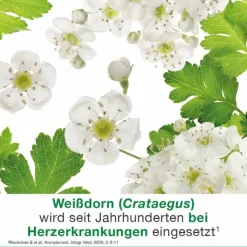 cratae-Loges 450 mg Weißdorn Filmtabletten, 100 St