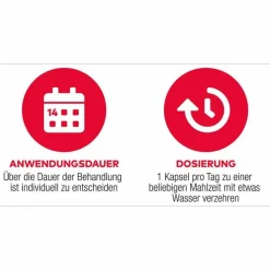 D3 + K2 Vit AL 4000 I.E. / 80 µg Kapseln, 90 St