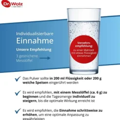 Darm Activ Dr. Wolz Pulver, 400 g