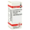 DHU Abies nigra C 30 Globuli, 10 g