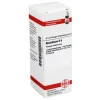 DHU Absinthium D 6 Dilution, 20 ml