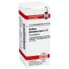 DHU Acidum phosphoricum C 12 Globuli, 10 g