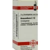 DHU Anacardium C 12 Globuli, 10 g