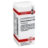 DHU Aranea diadema C 200 Globuli, 10 g