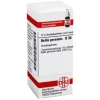 DHU Bellis perennis D 30 Globuli, 10 g