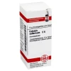 DHU Calcium sulfuricum C 6 Globuli, 10 g