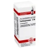 DHU Cardiospermum C 30 Globuli, 10 g